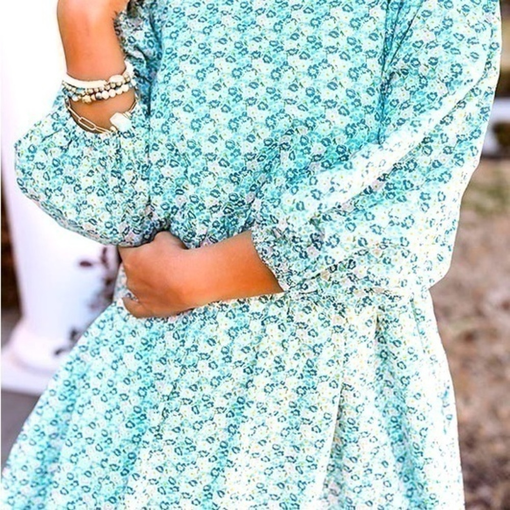 Floral Semi Pleated Mini Dress size M in blue Twirl Dress Long Sleeve Cotton